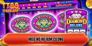 meo-no-hu-kim-cuong